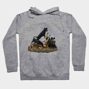 German Hunting Terrier , Jagdterrier Hoodie